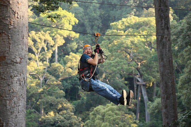 Chiang Mai Zip Line Experience - Who This Zip Line Suits Best (And Who Should Rethink It)