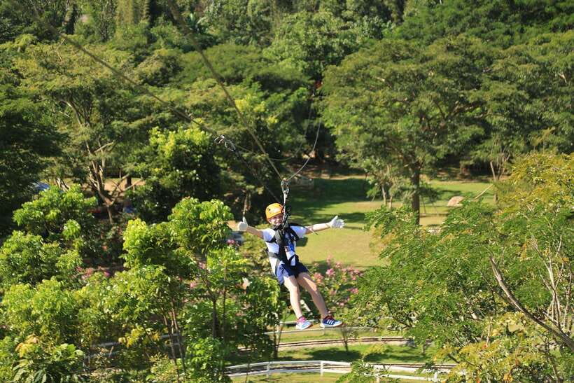Chiang Mai: Zipline & High Rope Park with Lunch & Transfer - Lunch and Animal Time: The Smart Part for Families (and Tired Adults)