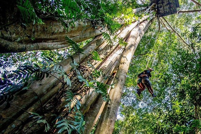 Chiang Mai Zipline White Water Rafting and Elephant Sanctuary - Price and value: what $154.88 buys you in Chiang Mai