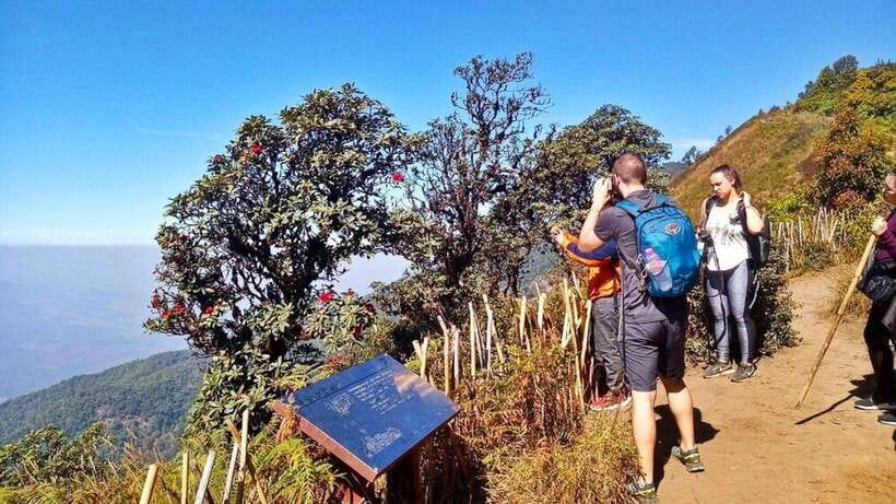 Chiang Mai:Doi Inthanon National Park & Hike at Kew Mae Pan - Doi Inthanon starts the day with altitude and big views