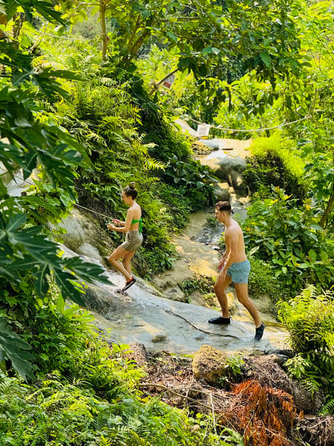 Chiang Mai:Sticky Watefall private tour with lunch - Lunch At A Local Restaurant: Simple, Included, And Early