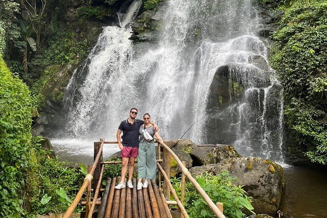 ChiangMai 1DayTour:Elephant Sanctuary,king&queen pagoda,waterfall - Ethical elephant time in Doi Inthanon: what it means in real life