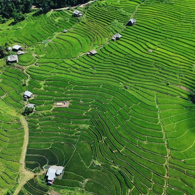 Chiangmai : Doi Inthanon unseen spot , Rice terrace & temple - A Full Day Beyond the Usual Doi Inthanon Route