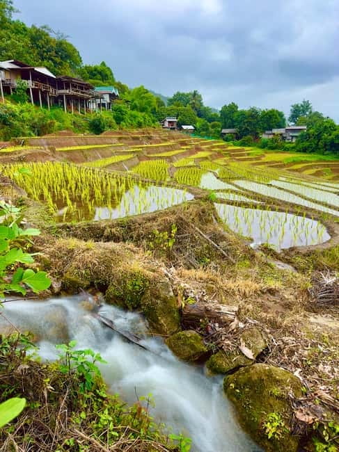 Chiangmai : Doi Inthanon unseen spot , Rice terrace & temple - Wat Pgageyo Ram: A Hidden Temple Stop in the Mountains