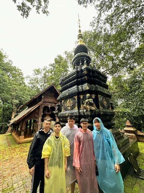 Chiangmai : Doi Inthanon unseen spot , Rice terrace & temple - Rice Terraces Panorama and the July–October Color Shift