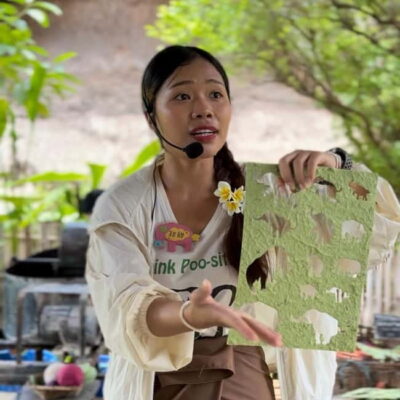 ChiangMai Elephant POOPOOPAPER Park Optional StickyWaterfall - What the 45–330 Minute Visit Actually Feels Like
