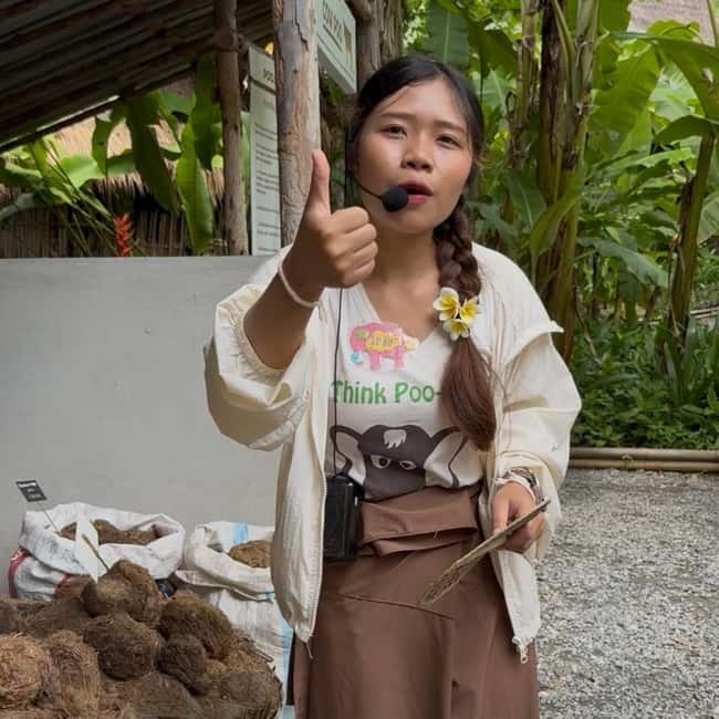 ChiangMai Elephant POOPOOPAPER Park Optional StickyWaterfall - Value Check: Is $4.82 Worth It?