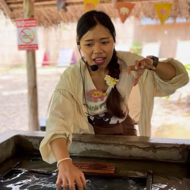 ChiangMai Elephant POOPOOPAPER Park Optional StickyWaterfall - Practical Tips Before You Go