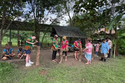 Chiangmai Half Day Visit and Wildlife Experience - Your 8:00am start: timing, pickup, and pacing for a half-day