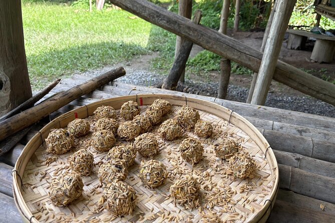 Chiangmai Half Day Visit and Wildlife Experience - Learning the care side: rescue, food, veterinary attention