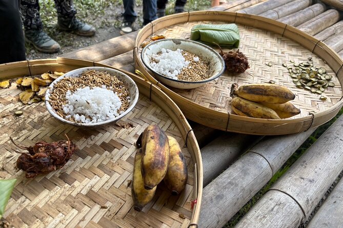 Chiangmai Half Day Visit and Wildlife Experience - The humane vibe: how “respectful and transparent” tends to feel