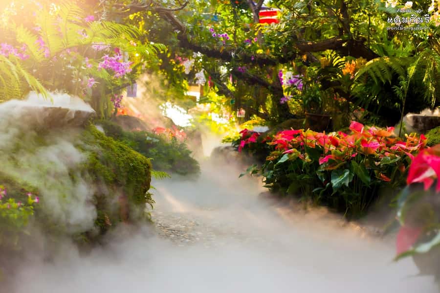 Chiangmai to Chiangrai: 3 Temples, Hot Springs& Lalitta Cafe - Wat Huay Pla Kang (Red Temple) option: the elevator ride is the fee you should plan for