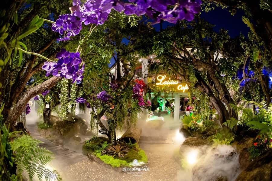 Chiangmai to Chiangrai: 3 Temples, Hot Springs& Lalitta Cafe - Lalitta Café: your fairy-tale break, with time limits you should actually respect