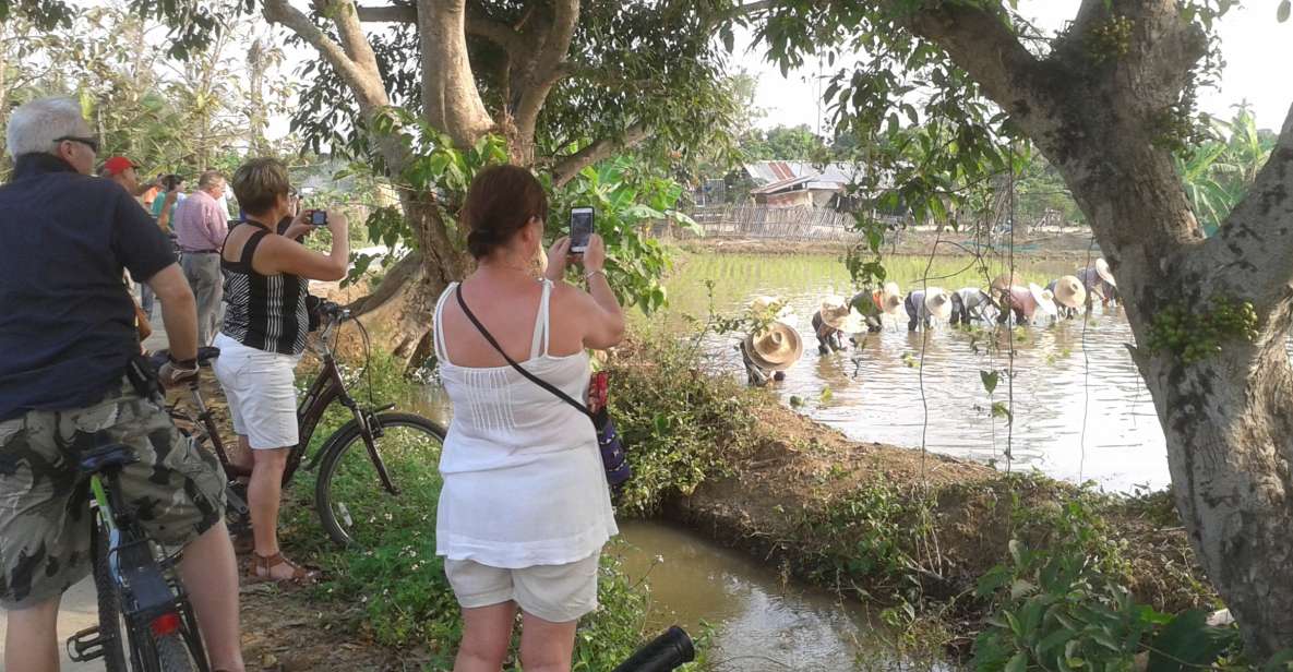 Colors of Chiang Mai Guided Bicycle Tour - Key highlights worth getting excited about