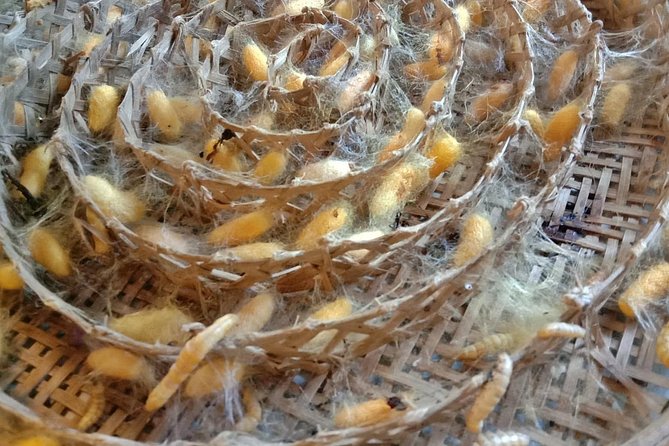 Completed Thai Silk Class Experience - Key Things I’d Pay Attention To Before You Go