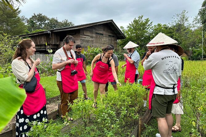 Cooking Class with Organic Farm in Chiang Mai - Key Takeaways Before You Go