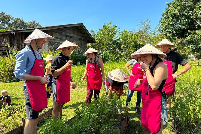 Cooking Class with Organic Farm in Chiang Mai - Price and Value: What You’re Actually Paying For