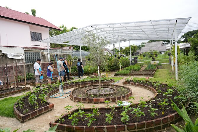 Cooking Class with Organic Farm in Chiang Mai at Mama Noi - Organic Kitchen Garden: Herbs, Farm-Grown Ingredients, And A Quick Mosquito Reality Check