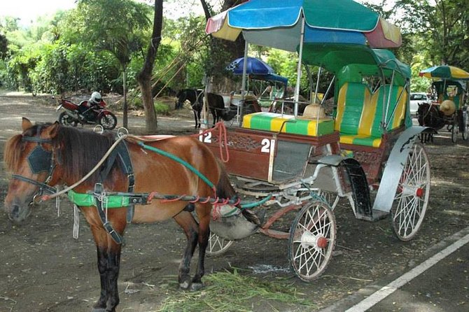Discover Wiang Kum Kam Ancient City with Wat Chiang Man Visit - The Horse-Drawn Carriage Ride: Slower Travel, Better Sightlines