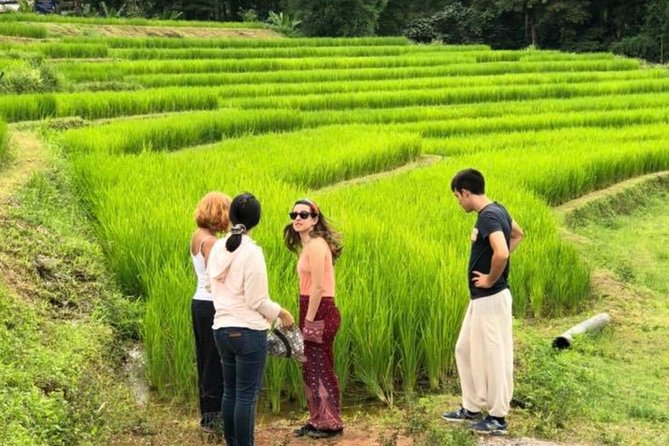 Doi Inthanon Day Trip:Twin Pagodas,Soft Hiking,Coffee Plantation - Stop 2: Twin Royal Stupas and the viewpoint with meaning
