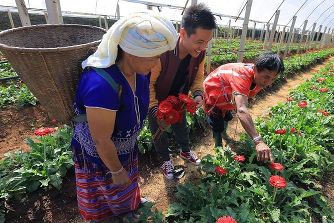 Doi Inthanon Discovery Tour: Waterfalls, Villages & Highest Peak - Hotel pickup and the AC ride: the real comfort win