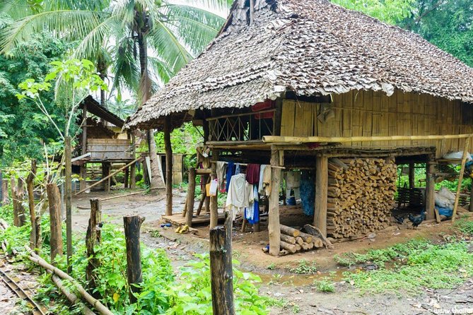 Doi Inthanon Discovery Tour: Waterfalls, Villages & Highest Peak - The hill-tribe market stop: useful, but match your expectations