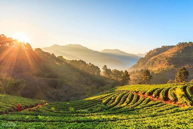Doi Inthanon Discovery Tour: Waterfalls, Villages & Highest Peak - Wachirathan Waterfall: the outdoor payoff