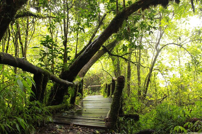 Doi Inthanon National park and 2 hours hiking with private tour - Ang Ka Nature Trail: 20 Minutes That Helps You Pace the Day