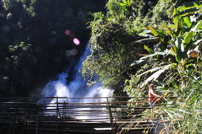 Doi Inthanon National park and 2 hours hiking with private tour - The 2-Hour Downhill Rainforest Hike (And Why Downhill Can Be Tricky)