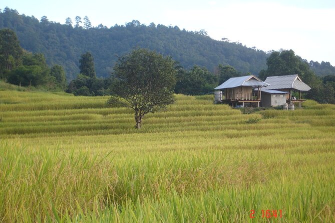 Doi Inthanon National park and 2 hours hiking with private tour - 10 Hours in a Private Rhythm: Pickup to Drop-off