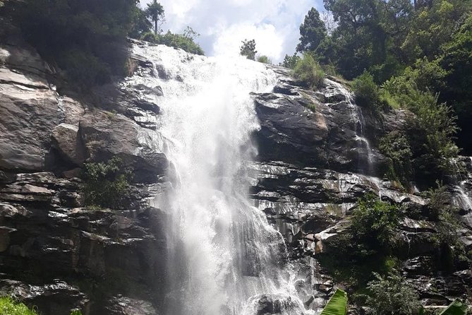 Doi Inthanon National Park Day Trip - Ban Mae Klang Luang: Organic Coffee and Village Life