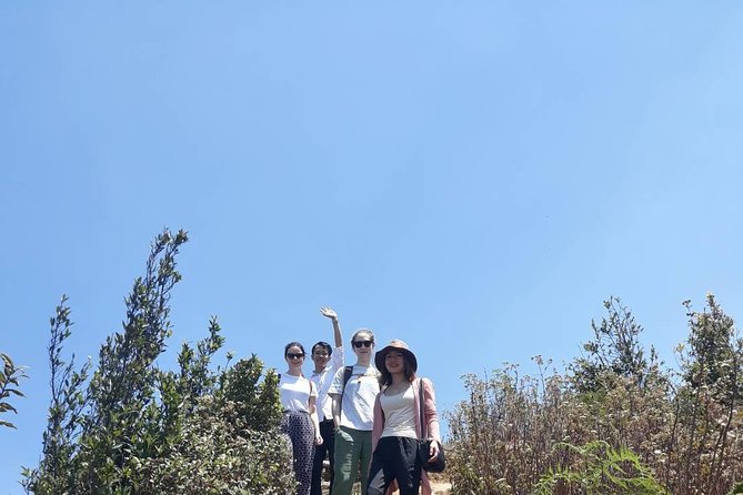 Doi Inthanon National Park Day Trip - Price and Value: Is $125 a Smart Spend?