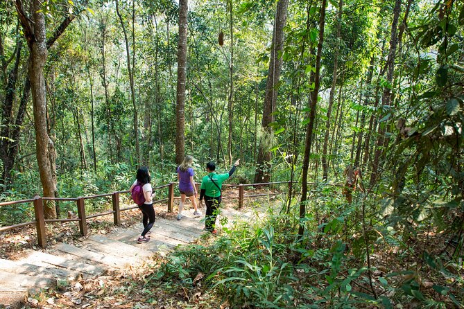 Doi Inthanon National Park Eco-Friendly Full Day Tour - Guides make the difference: names you may meet
