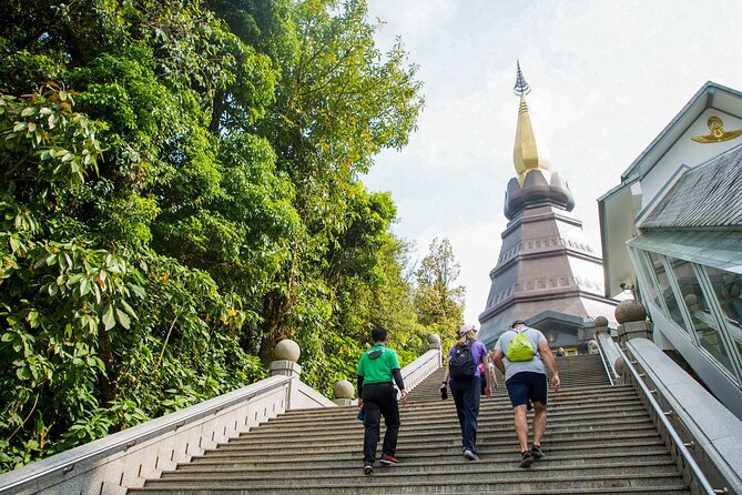 Doi Inthanon National Park Eco-Friendly Full Day Tour - Who this tour fits best