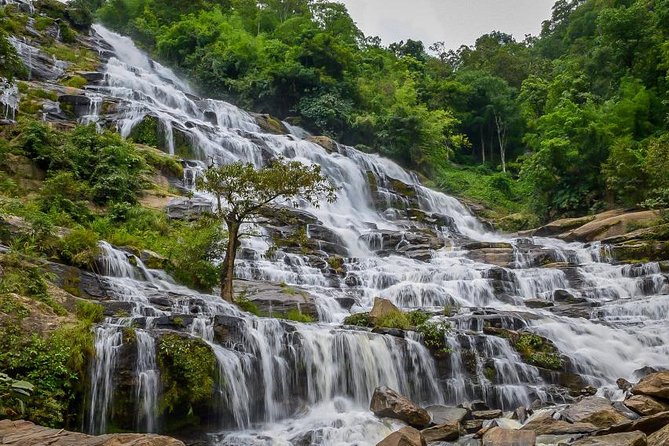 Doi Inthanon National Park Full Day Tour from Chiang Mai - Small group (max 15) and your guide: why Kwan’s support matters