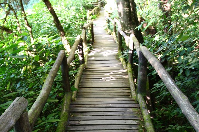 Doi Inthanon National Park including Lunch from Chiang Mai - Doi Inthanon National Park: The Views, Water, and Quick Peak-Birding Moment
