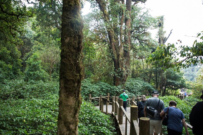 Doi Inthanon National Park Private Tour – Full Day - Getting from Chiang Mai to the high country feels easier than you expect