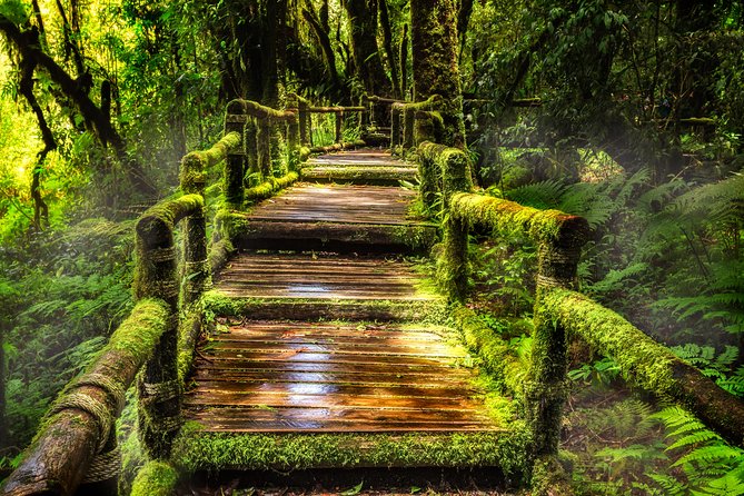 Doi Inthanon National Park - Thailand's Highest Peak - Wachirathan Falls: Mist, Water Power, and Photo Timing