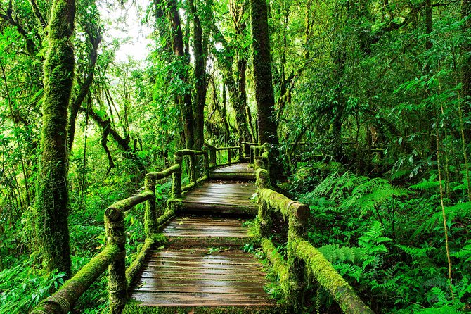 Doi Inthanon National Park - Thailand's Highest Peak - Summit Shrines on Thailand’s Highest Peak Area