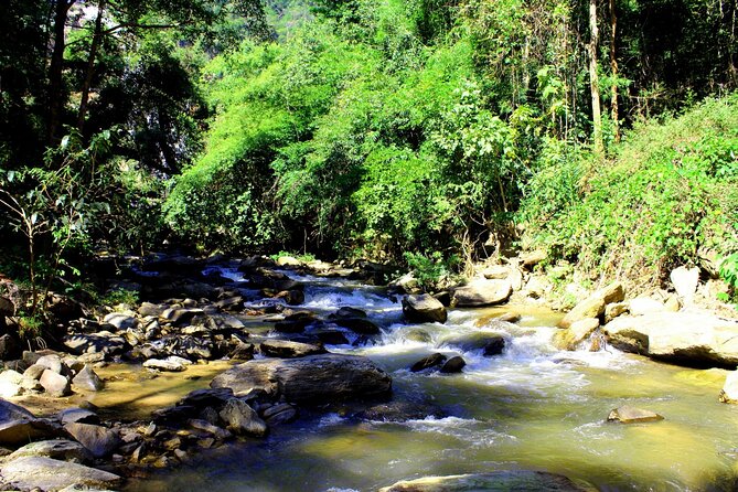Doi Inthanon National Park, Waterfall & Royal Project Day Tour From Chiang Mai - First Stop: Doi Inthanon National Park and the Roof of Thailand