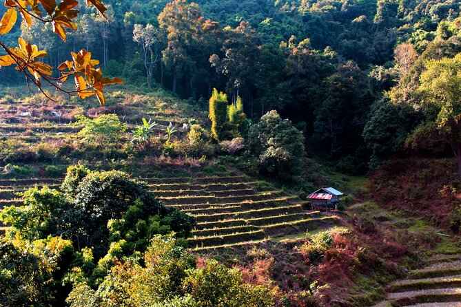 Doi Inthanon National Park, Waterfall & Royal Project Day Tour From Chiang Mai - King and Queen Pagodas: Views Plus a Real Dress Code