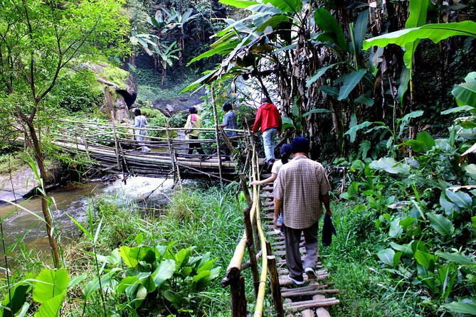 Doi Inthanon National Park, Waterfall & Royal Project Day Tour From Chiang Mai - Hill Tribe Stop at Baan Mae Klang Luang: Culture, Coffee, and Shopping Time