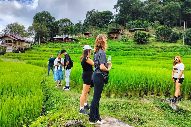 Doi Inthanon Waterfall and Royal Project Chiang Mai - Lunch in a local restaurant: the included meal that steadies the day