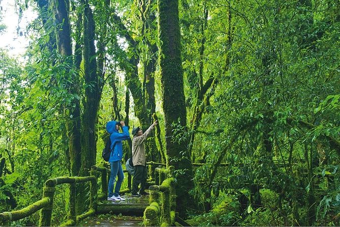Doi Inthanon Waterfall and Royal Project Chiang Mai - Summit time on Doi Inthanon: Ang Ka Nature Trail and high views