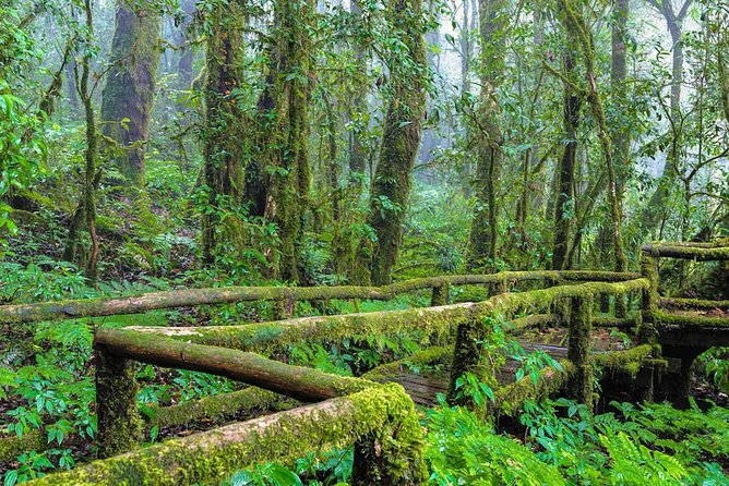 Doi Inthanon Waterfall and Royal Project Chiang Mai - Pace check: how this feels in real time