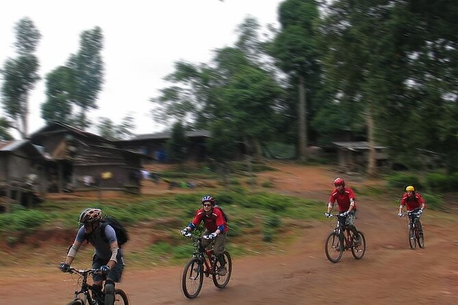 Doi Suthep National Park To Chiang Mai Beginner Downhill Mountain Biking - Price and value: how $79.30 stacks up