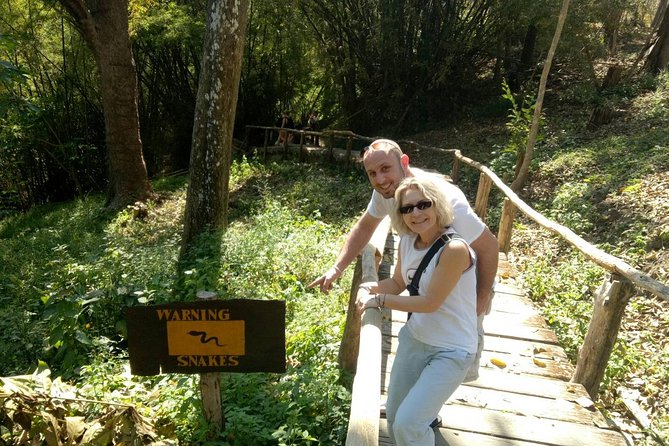 Doi Suthep Temple and Bau Thong Waterfalls Private Tour - Bai Orchid and Butterfly Farm Lunch: Food and a Slow Hour