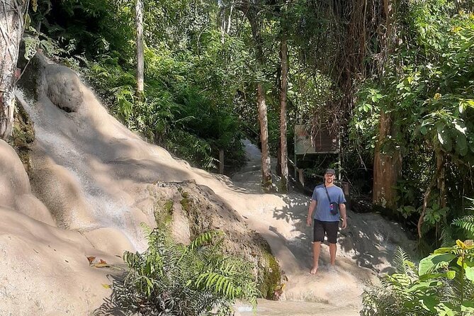 Doi Suthep Temple, Pha Lat Temple, Sticky Waterfall, Orchid farm - Bai Orchid and Butterfly Farm: A Breather Between Sacred Stops