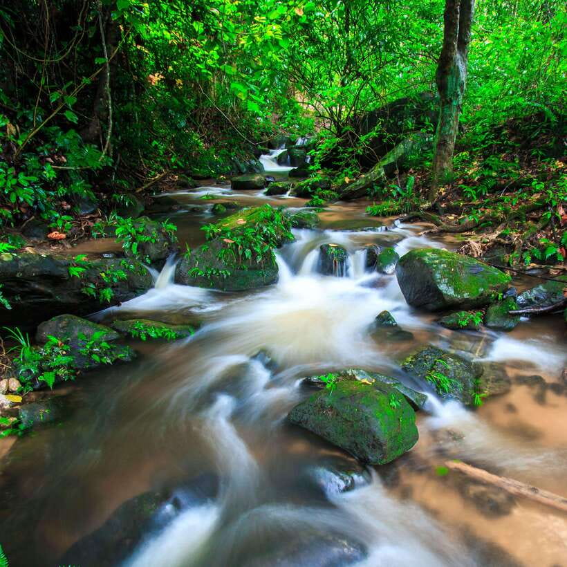Eco-Friendly: Doi Inthanon & Pha Dok Siew Trekking Day Trip - Key Highlights to Know Before You Go