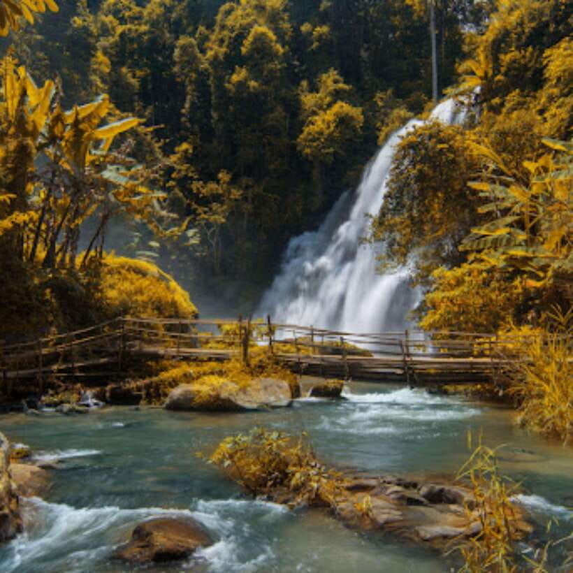 Eco-Friendly: Doi Inthanon & Pha Dok Siew Trekking Day Trip - Why Doi Inthanon’s Highest-Peak Route Feels More Interesting